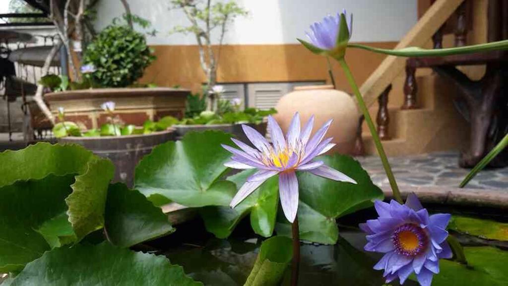 Baan Sala Lung Dam Hotel Bophut Bagian luar foto